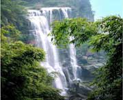 江安后天天气